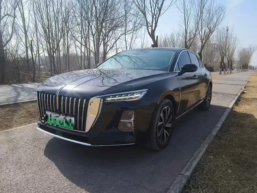 Hongqi H5 PHEV 2025 из CN, фото 1