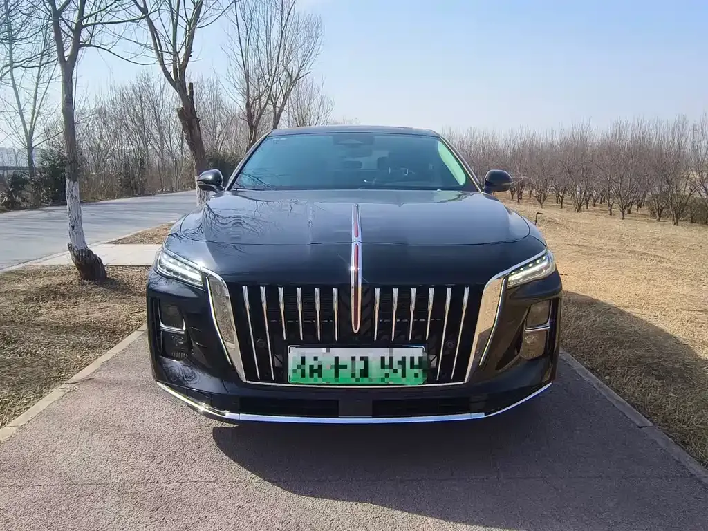 Hongqi H5 PHEV 2025 из CN, фото 8