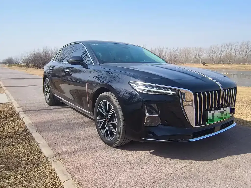 Hongqi H5 PHEV 2025 из CN, фото 4