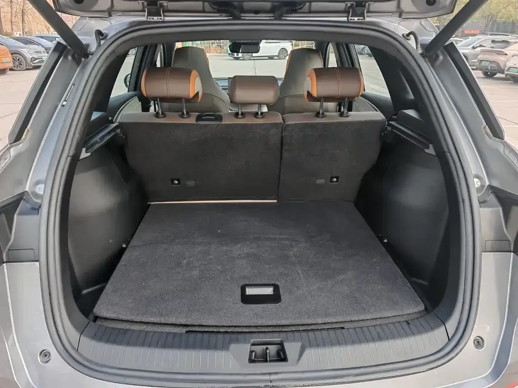 BYD Pro New Energy 2023 из CN, фото 5