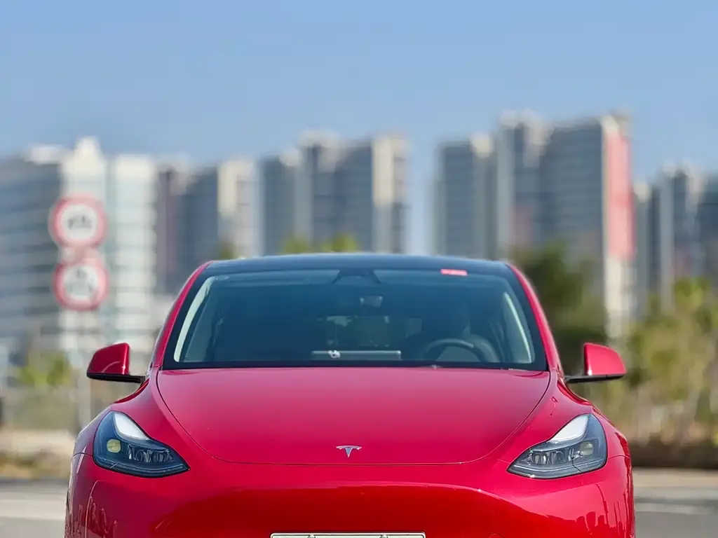 Tesla Model Y — фото 2
