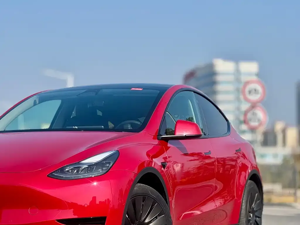 Tesla Model Y — фото 6