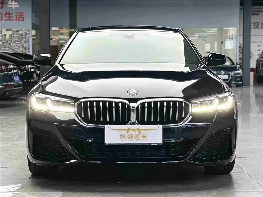BMW 5 Series 2023 из CN, фото 5