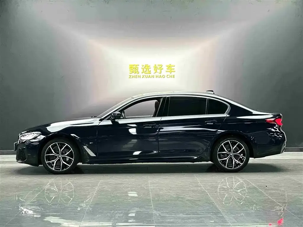 BMW 5 Series 2023 из CN, фото 6