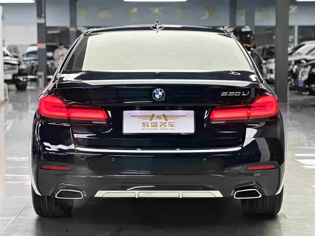BMW 5 Series 2023 из CN, фото 2