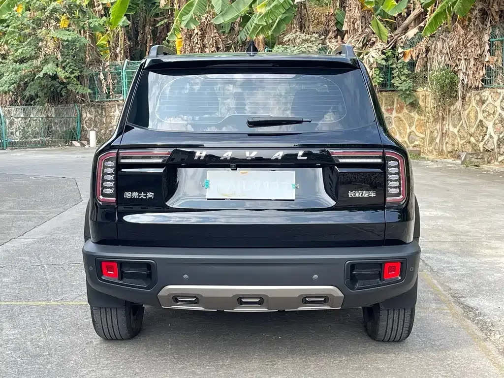 Haval Big Dog 2023 из CN, фото 9