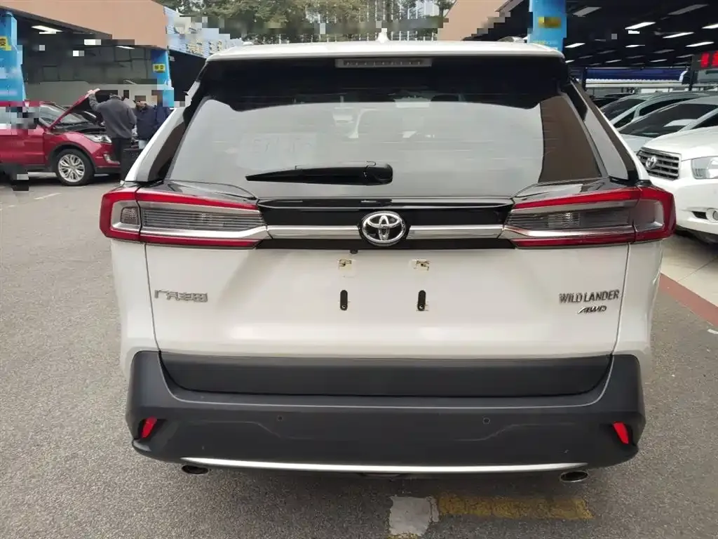 Toyota Wildlander 2023 из CN, фото 5