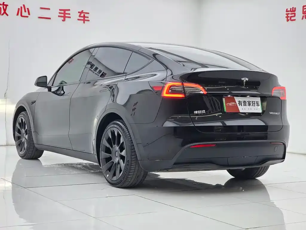 Tesla Model Y 2024 из CN, фото 6