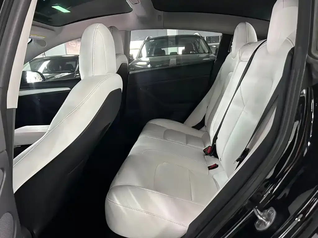 Tesla Model 3 2022 из CN, фото 6