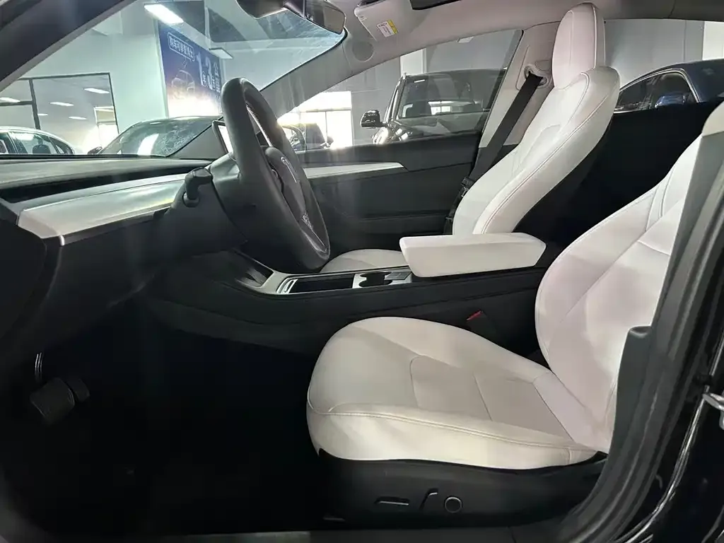 Tesla Model 3 2022 из CN, фото 5
