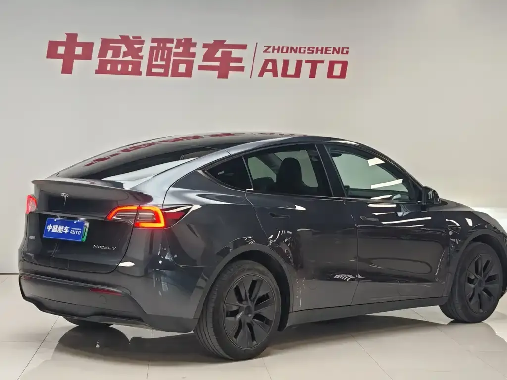 Tesla Model Y 2025 из CN, фото 4