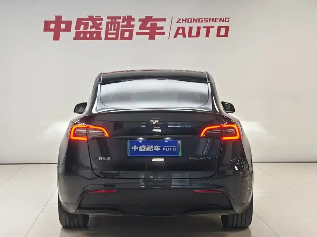 Tesla Model Y 2025 из CN, фото 2