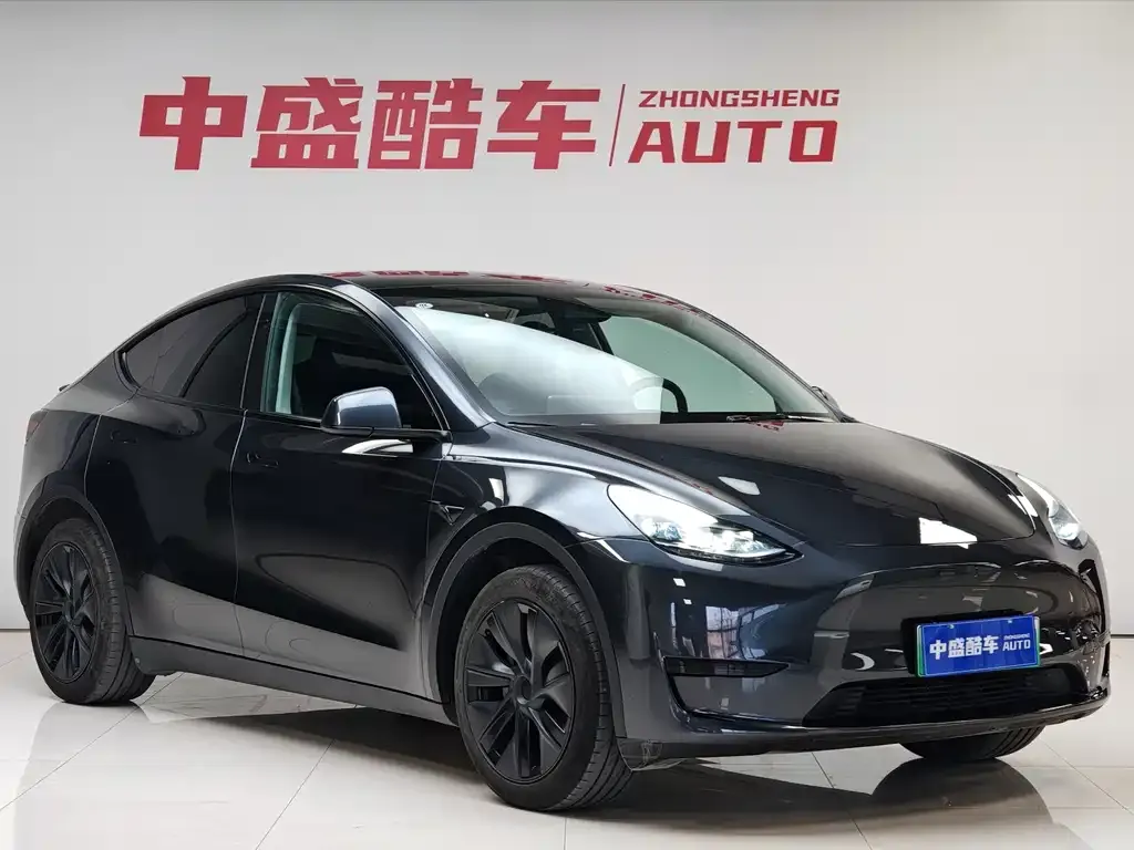 Tesla Model Y 2025 из CN, фото 9