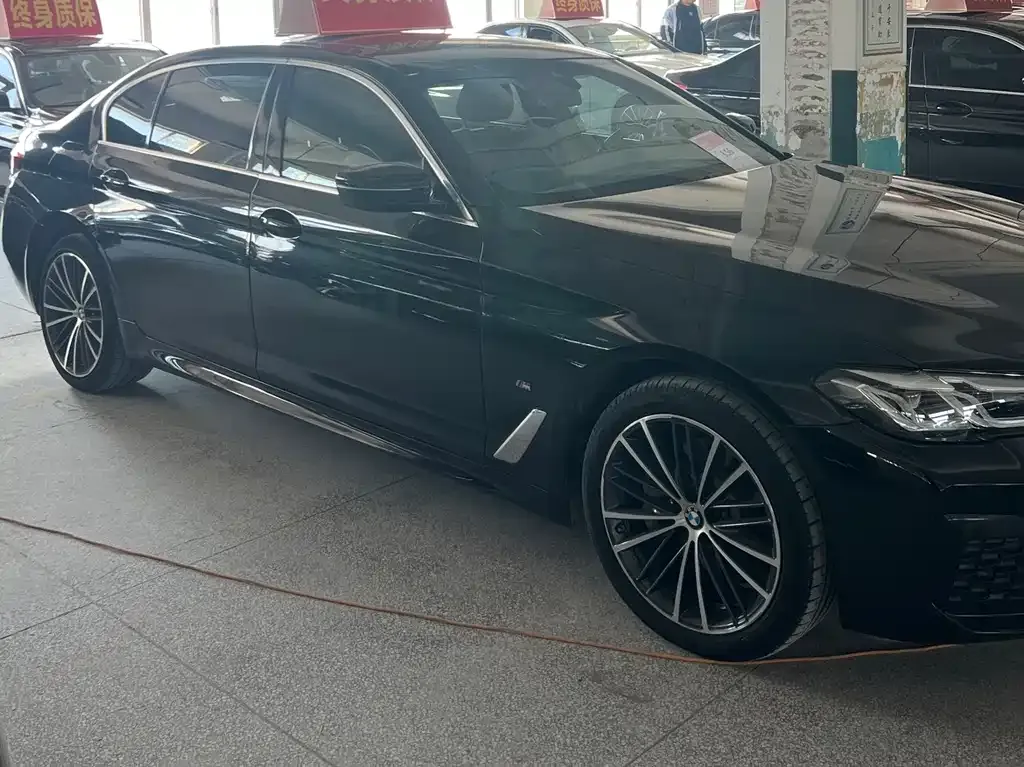 BMW 5 Series 2022 из CN, фото 9