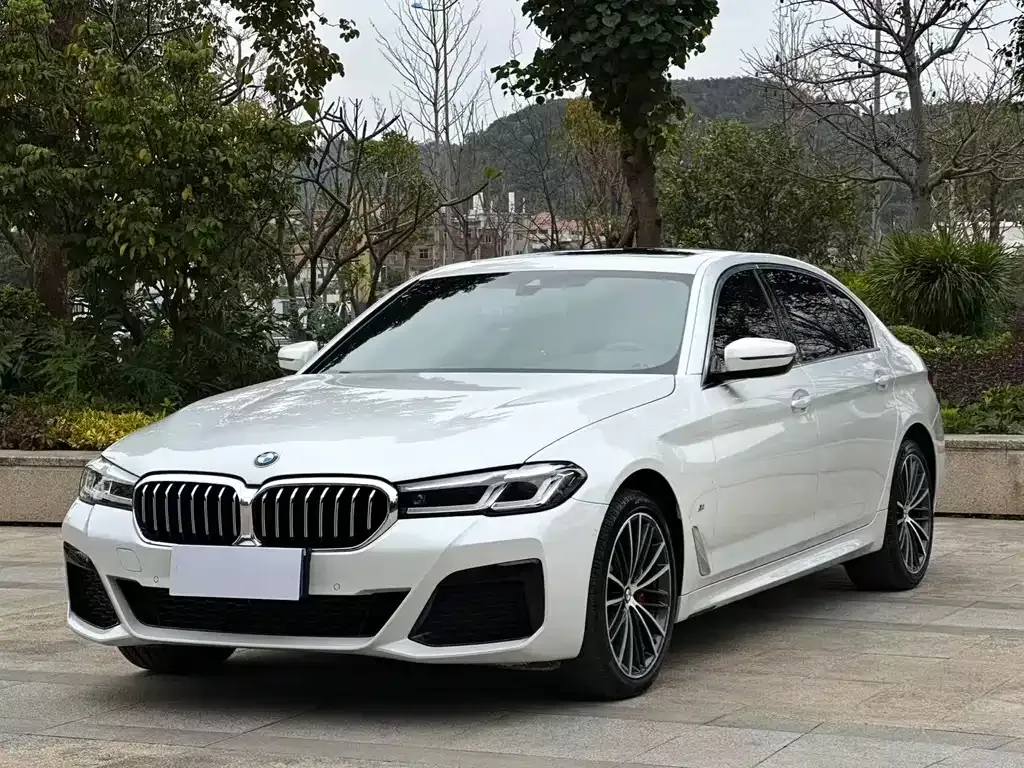 BMW 5 Series 2022 из CN, фото 1