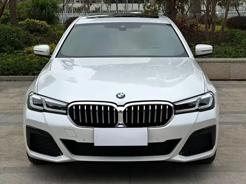 BMW 5 Series 2022 из CN, фото 4