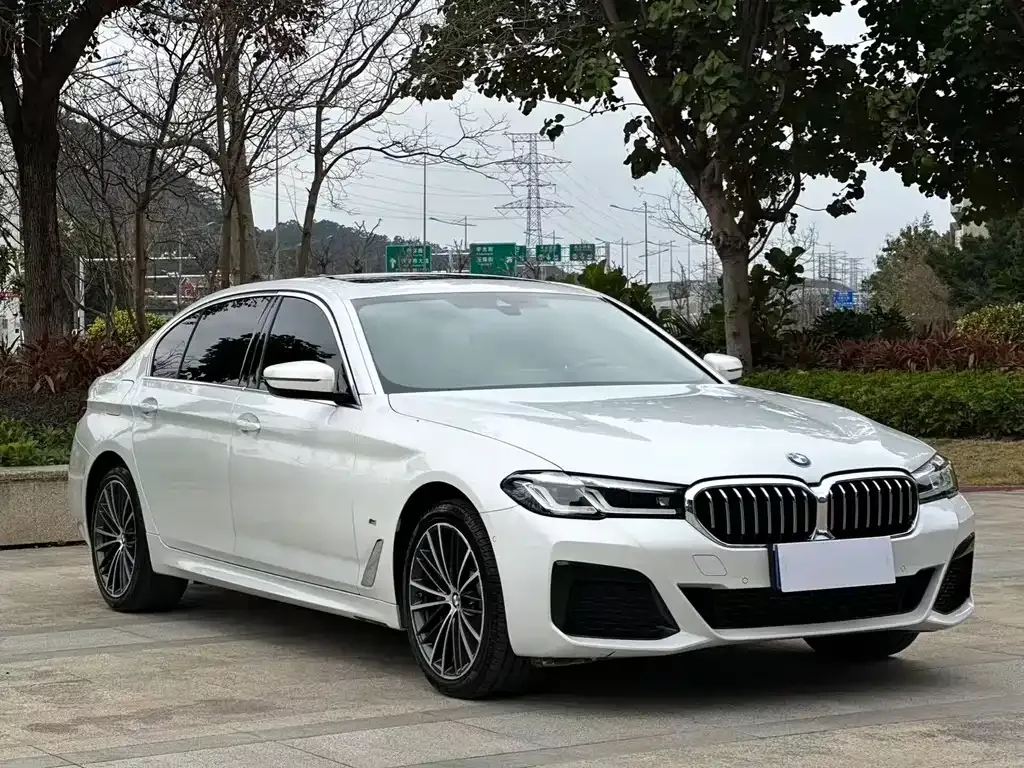 BMW 5 Series 2022 из CN, фото 8