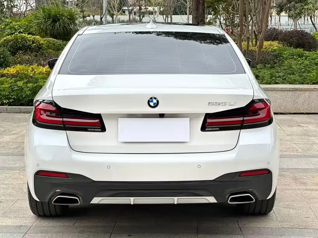 BMW 5 Series 2022 из CN, фото 7