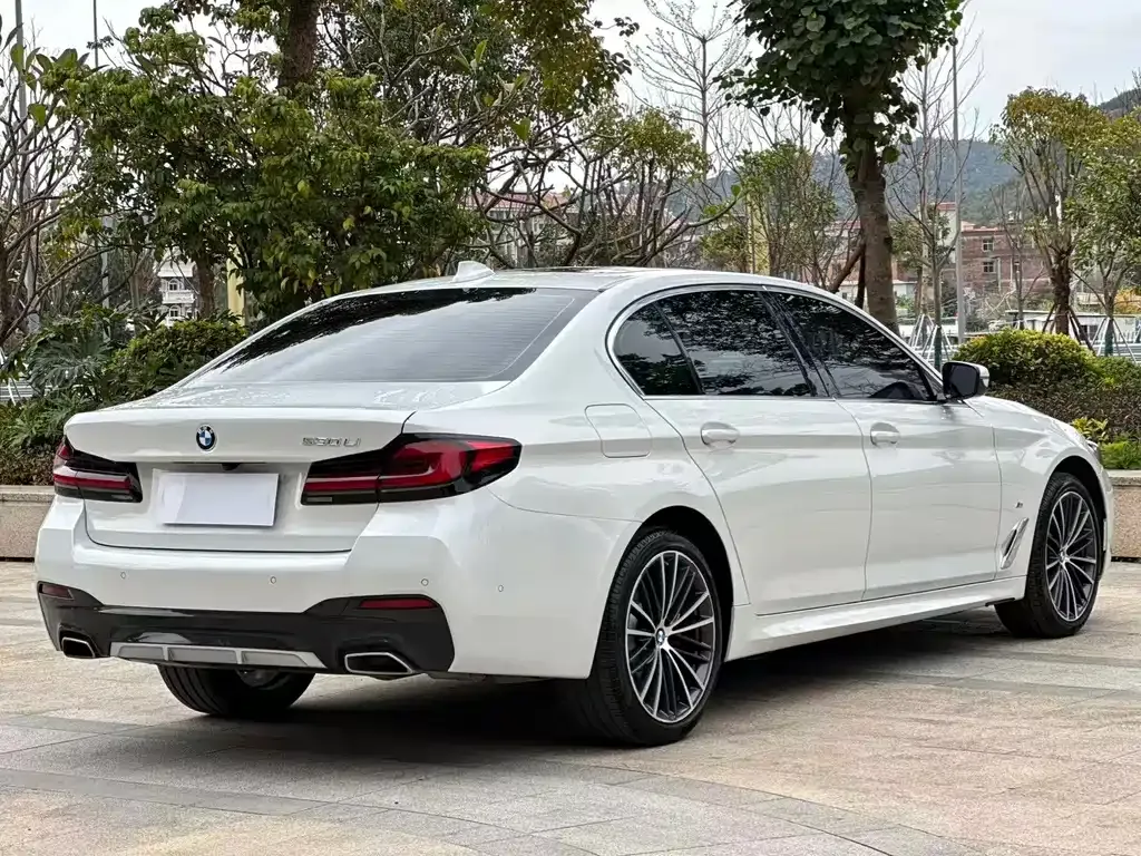 BMW 5 Series 2022 из CN, фото 9