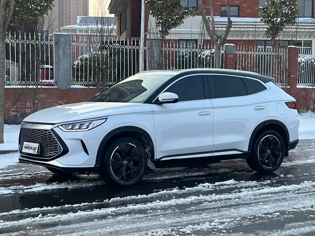 BYD PLUS New Energy 2022 из CN, фото 1