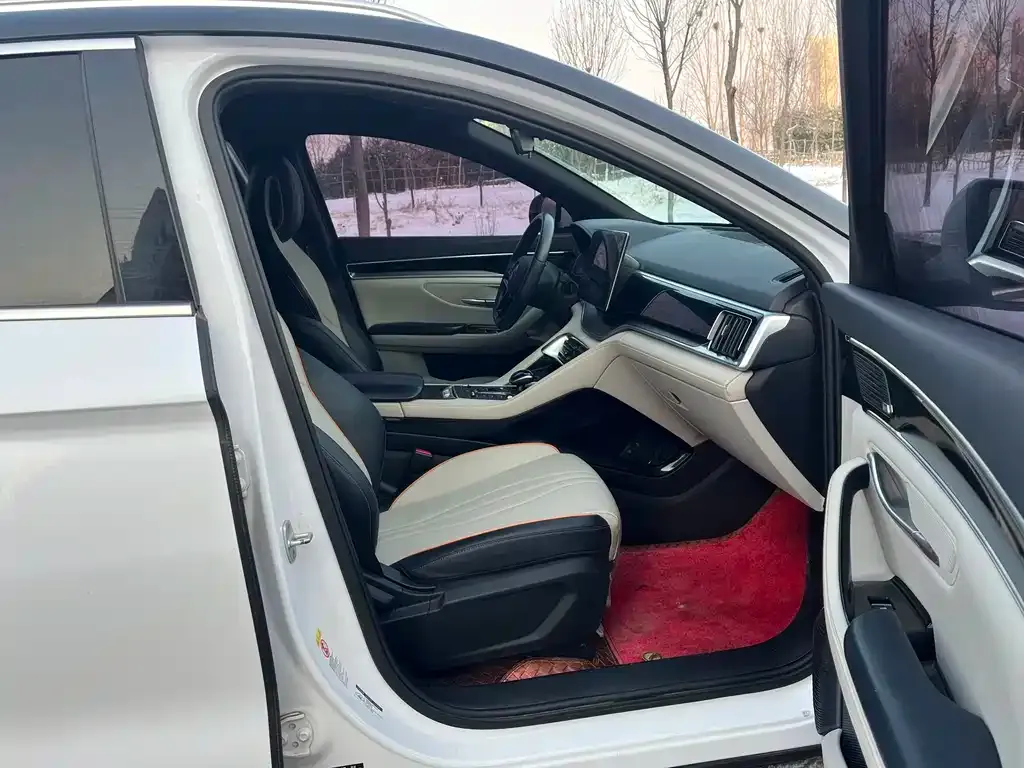 BYD PLUS New Energy 2022 из CN, фото 7