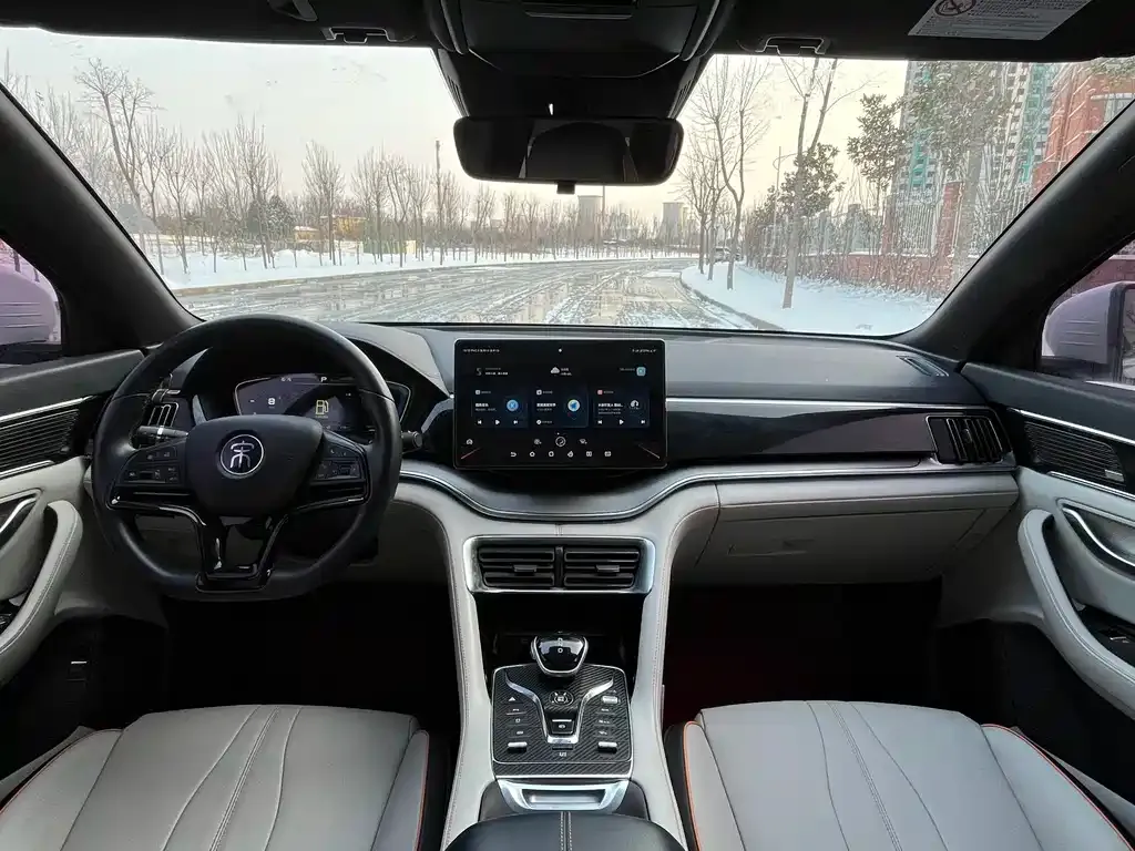 BYD PLUS New Energy 2022 из CN, фото 4
