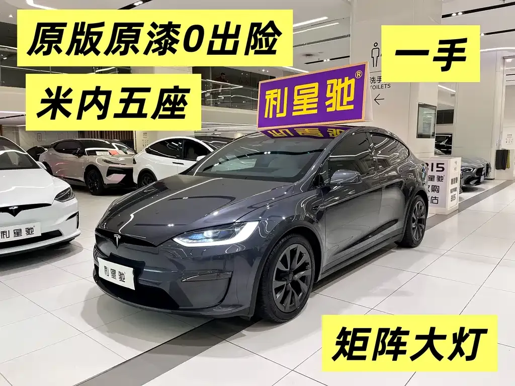 Tesla Model X 2023 из CN, фото 6