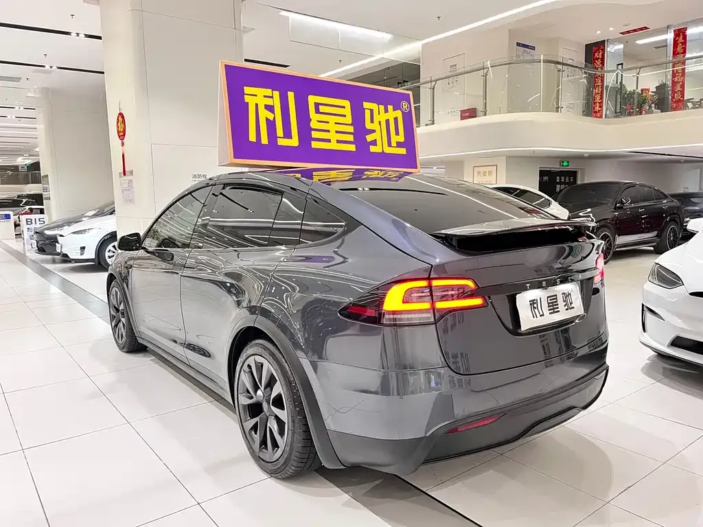 Tesla Model X 2023 из CN, фото 9