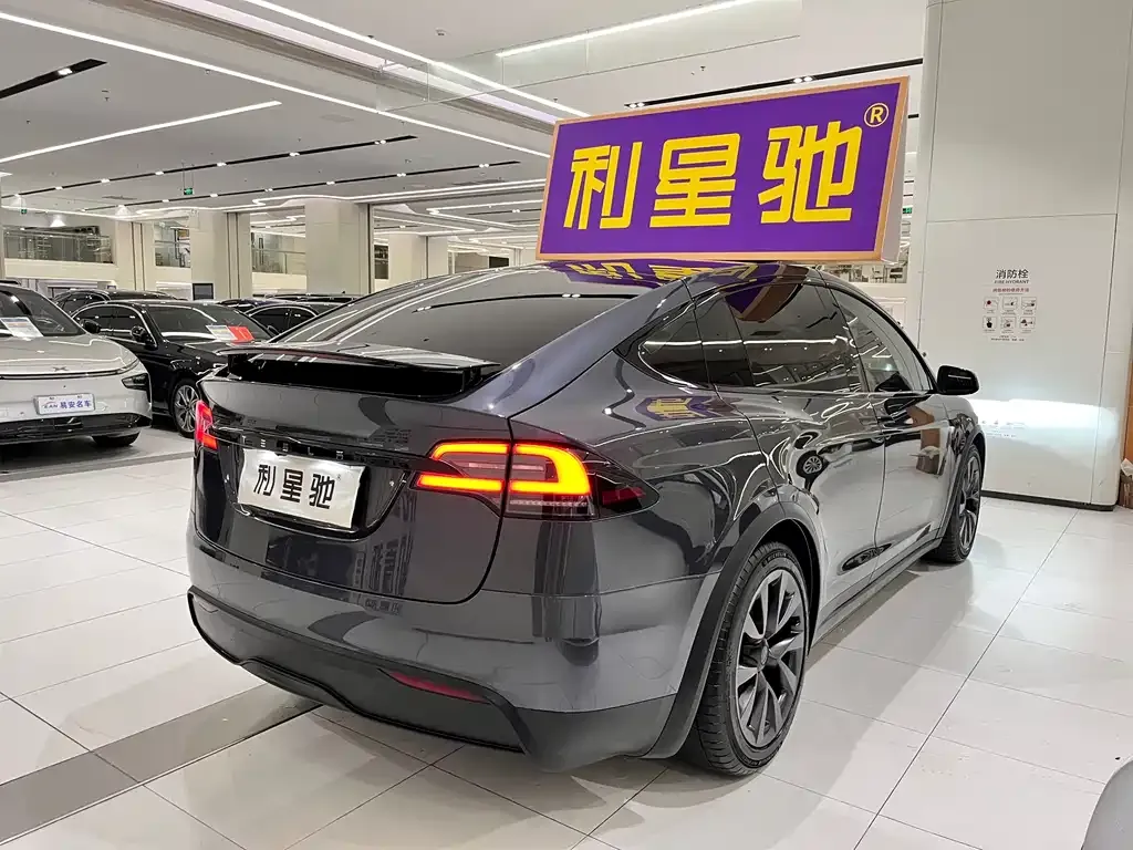 Tesla Model X 2023 из CN, фото 5