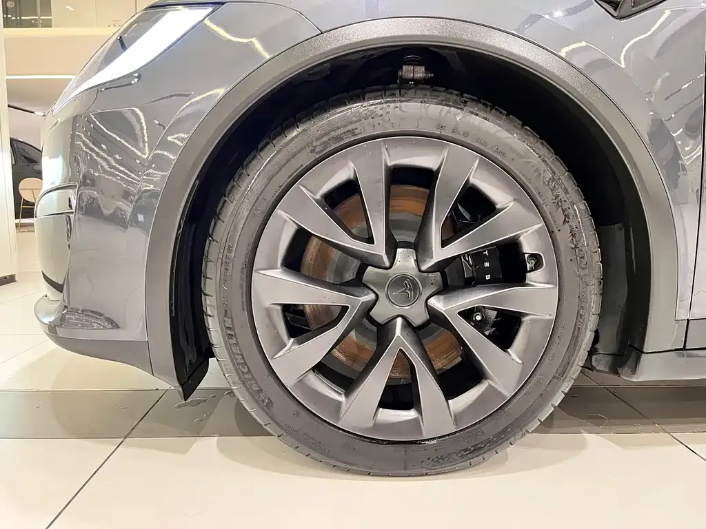 Tesla Model X 2023 из CN, фото 2