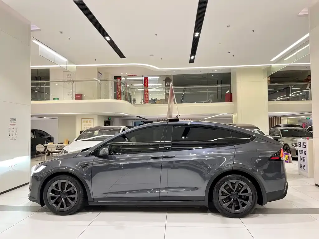Tesla Model X 2023 из CN, фото 3