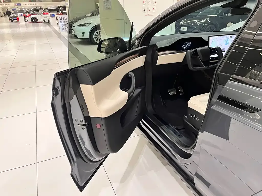 Tesla Model X 2023 из CN, фото 4