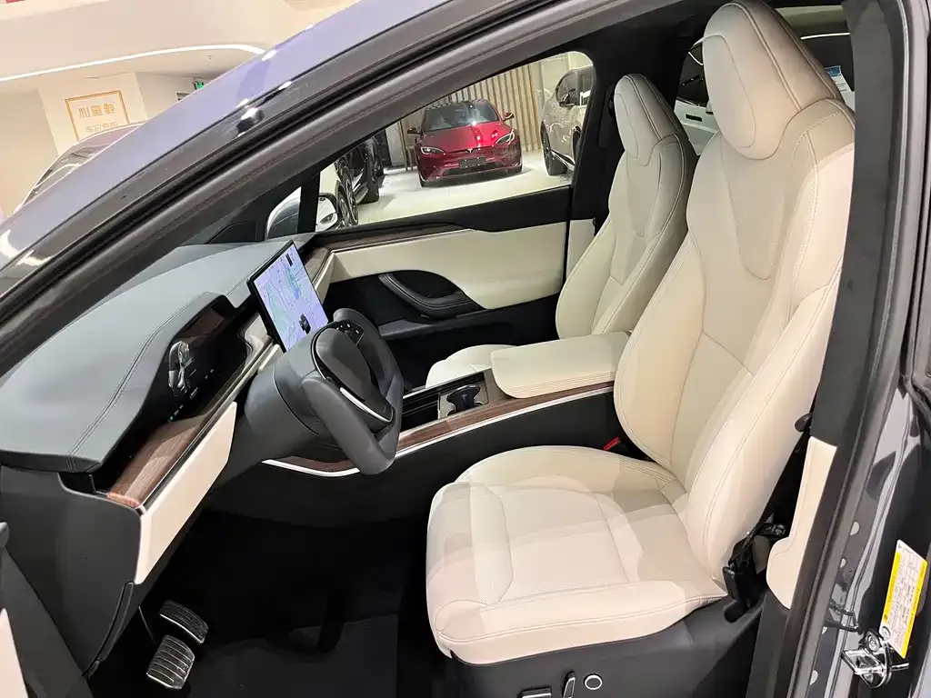 Tesla Model X 2023 из CN, фото 8