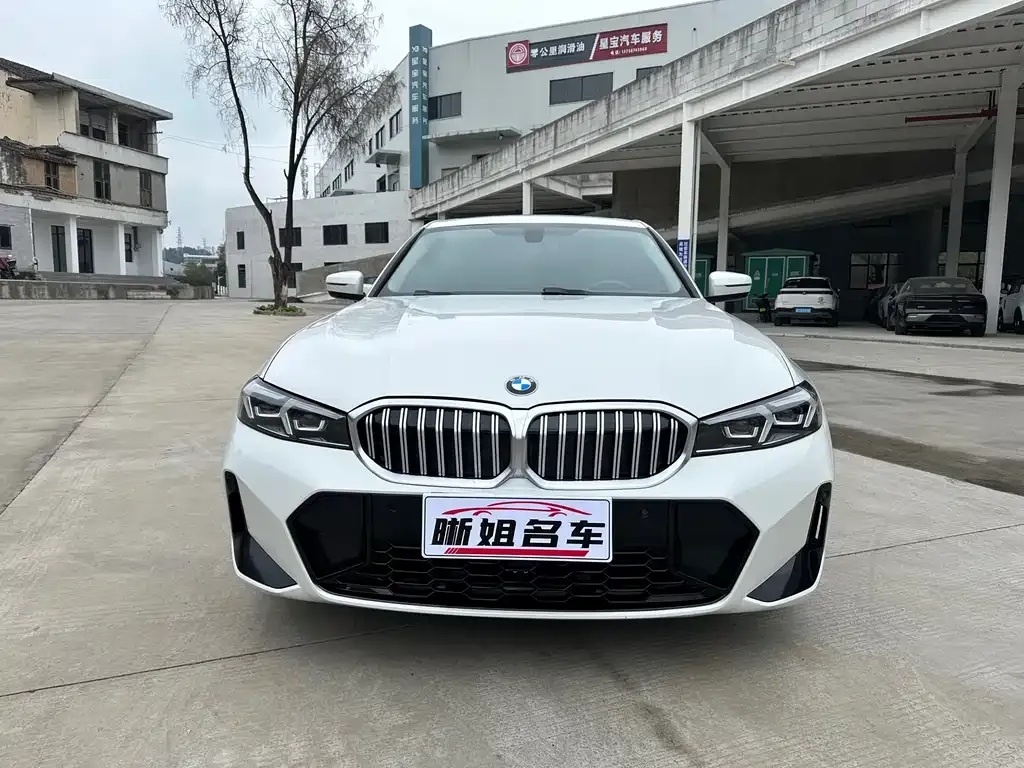 BMW 3 Series 2022 из CN, фото 6