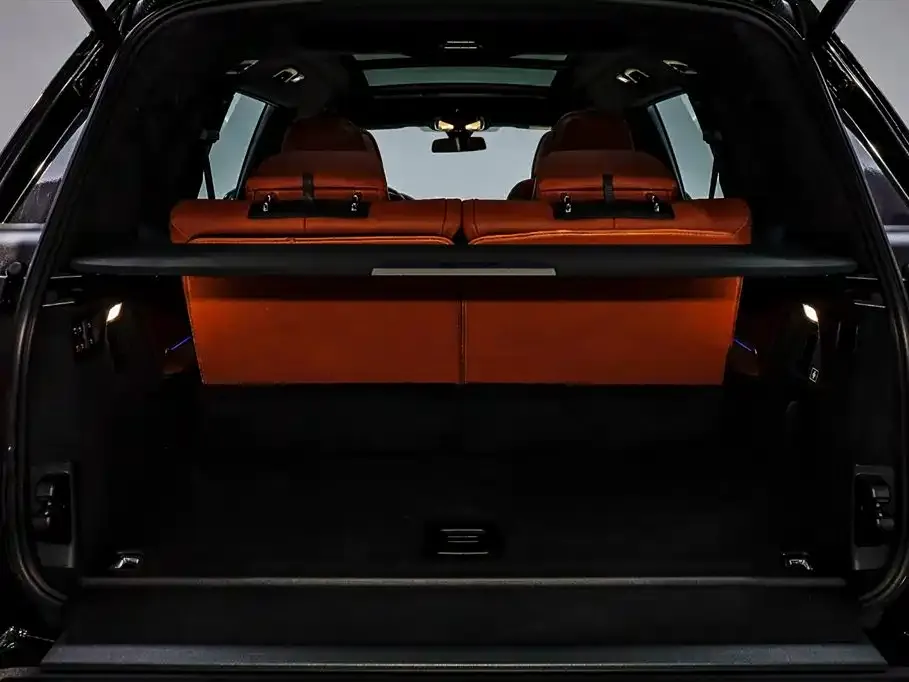 BMW X7 2022 из CN, фото 6
