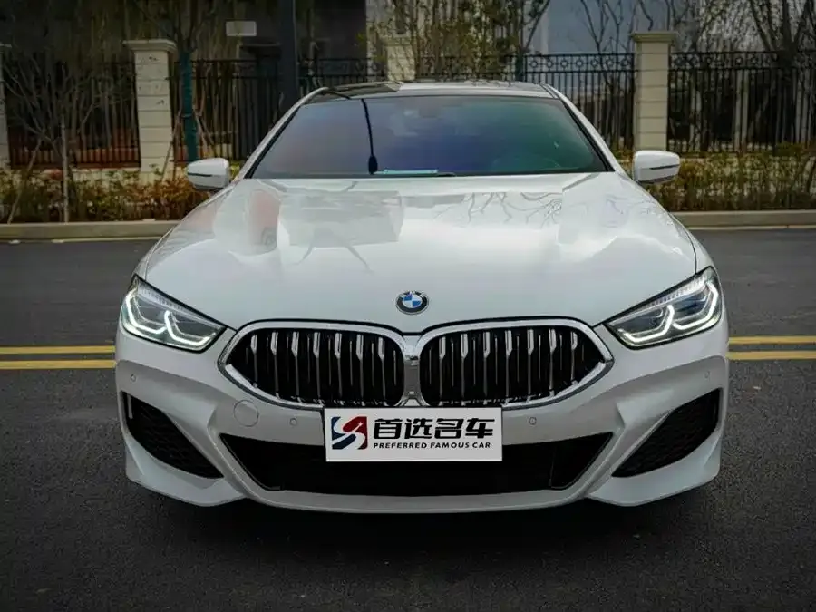 BMW 8 Series 2021 из CN, фото 7