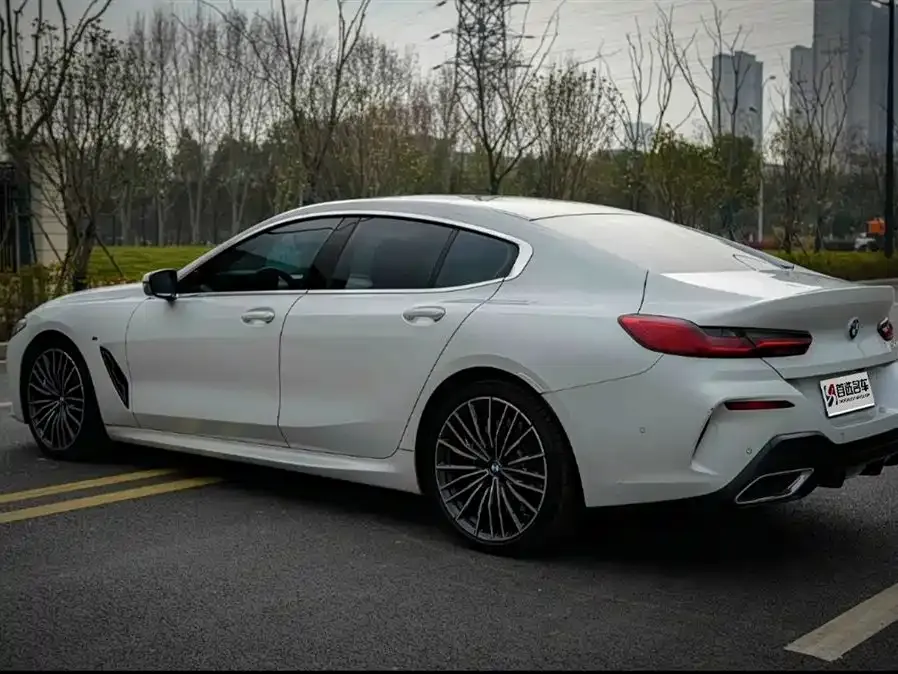 BMW 8 Series 2021 из CN, фото 8