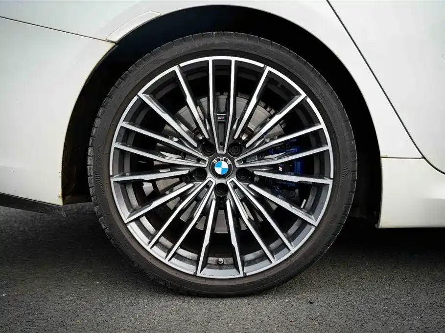 BMW 8 Series 2021 из CN, фото 10