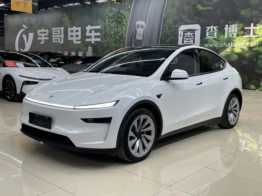 Tesla Model Y 2025 из CN, фото 1