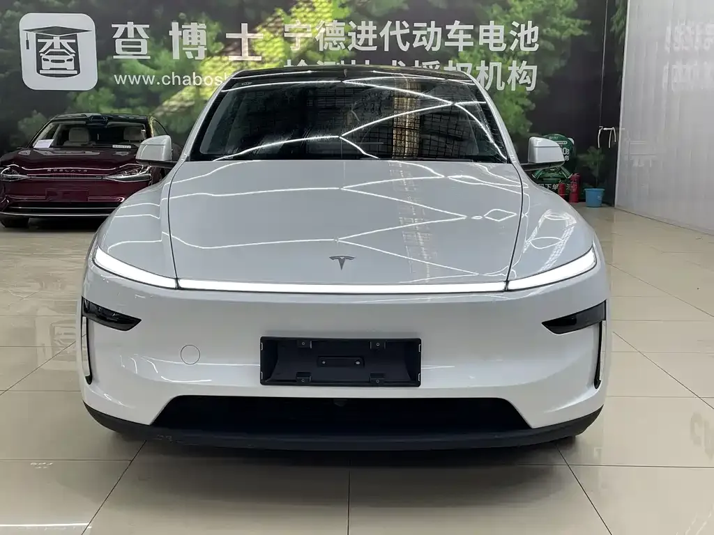 Tesla Model Y 2025 из CN, фото 8