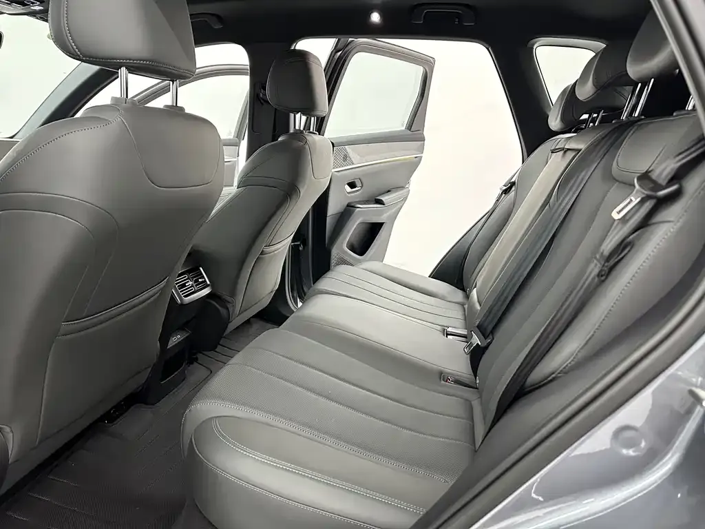 BYD Pro New Energy 2025 из CN, фото 4