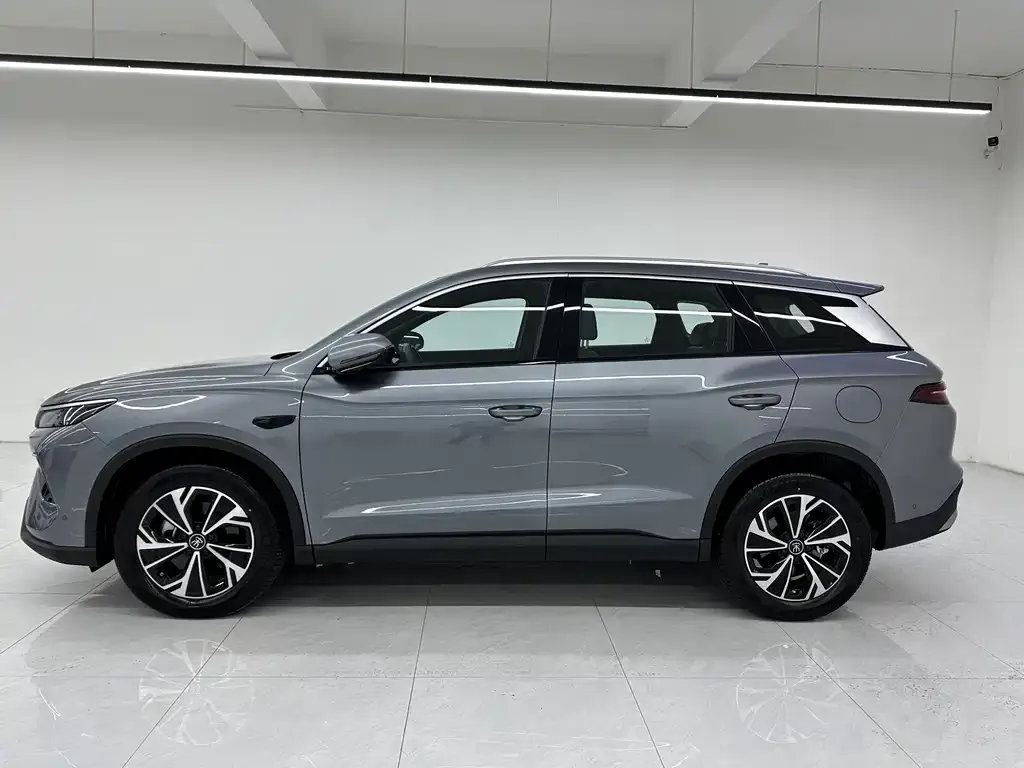 BYD Pro New Energy 2025 из CN, фото 7