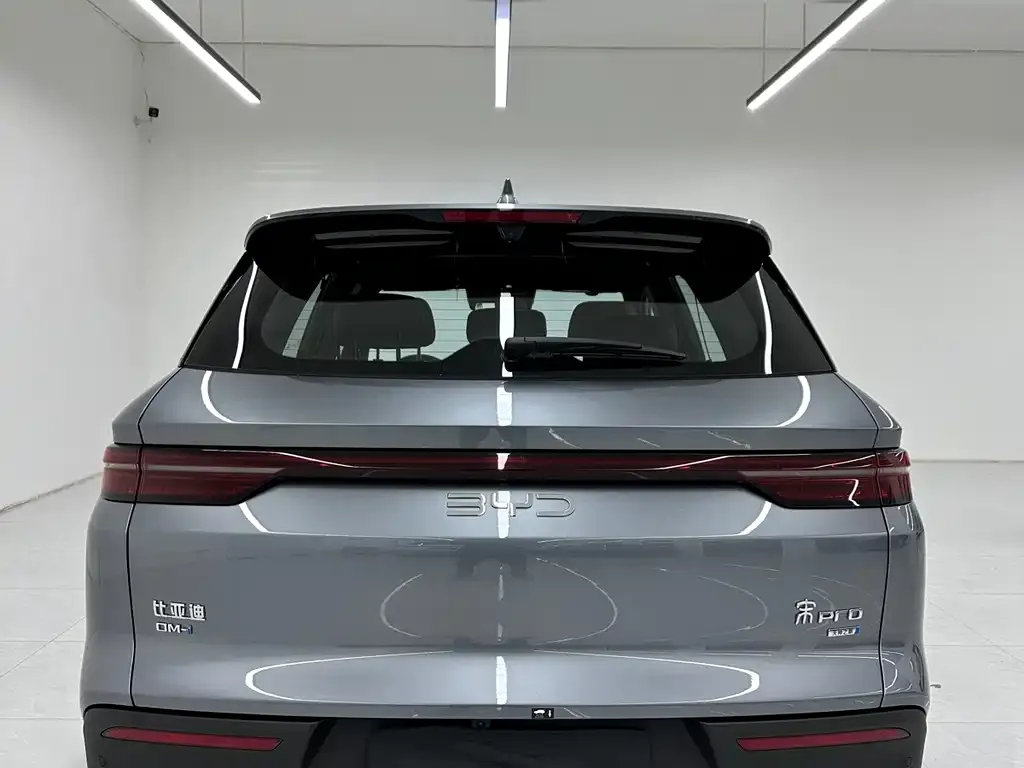BYD Pro New Energy 2025 из CN, фото 9