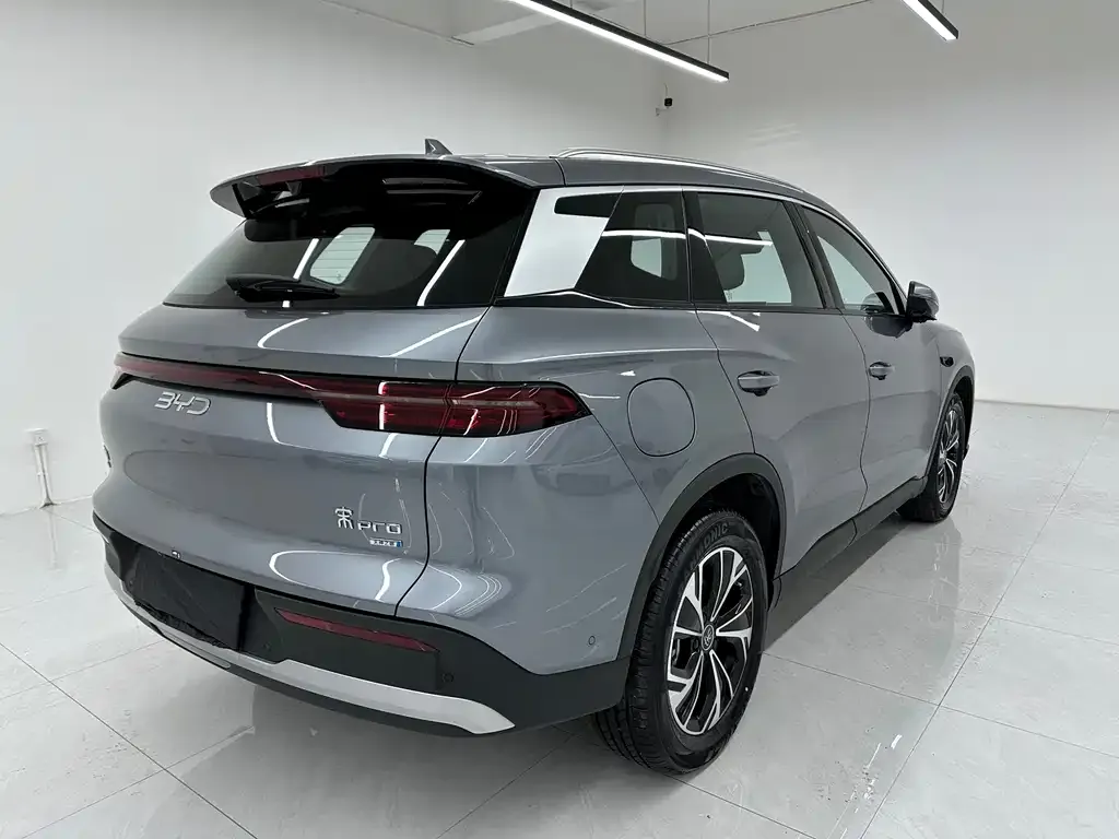 BYD Pro New Energy 2025 из CN, фото 2