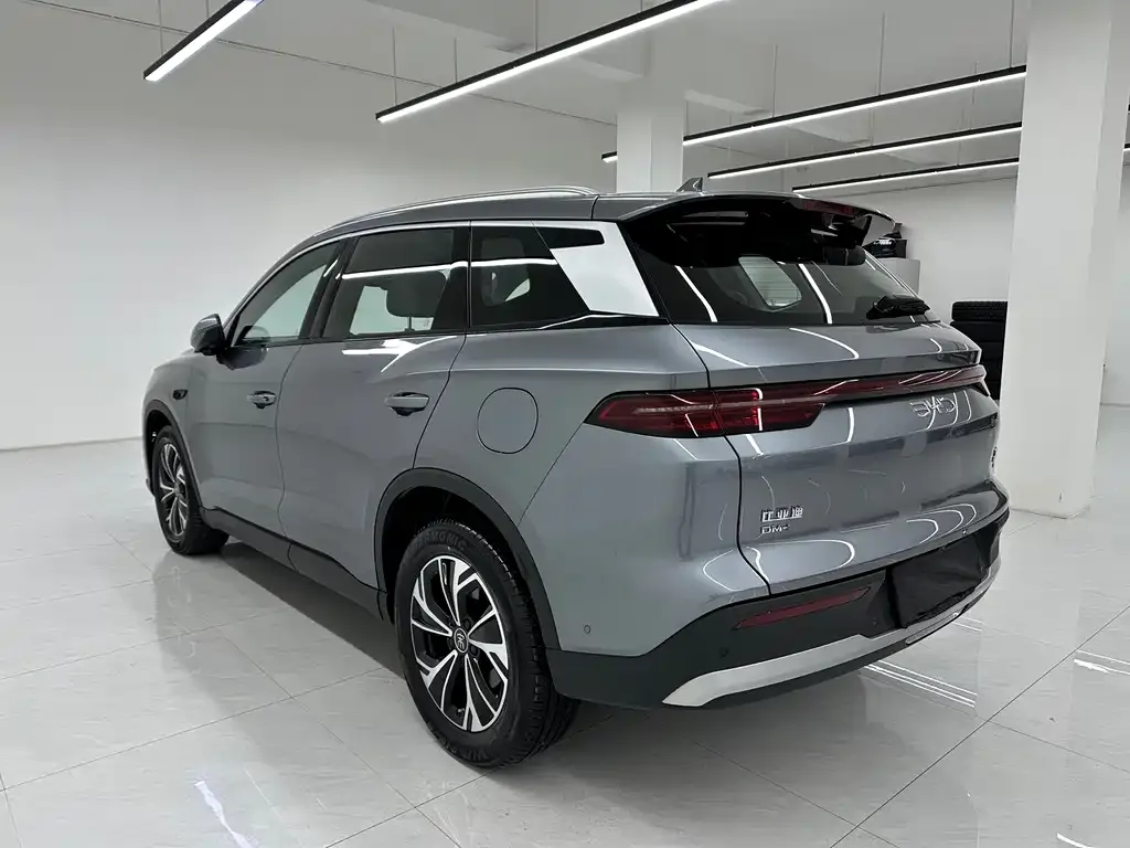 BYD Pro New Energy 2025 из CN, фото 6