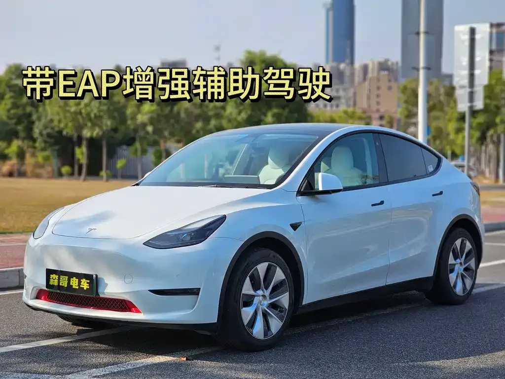 Tesla Model Y 2022 из CN, фото 1