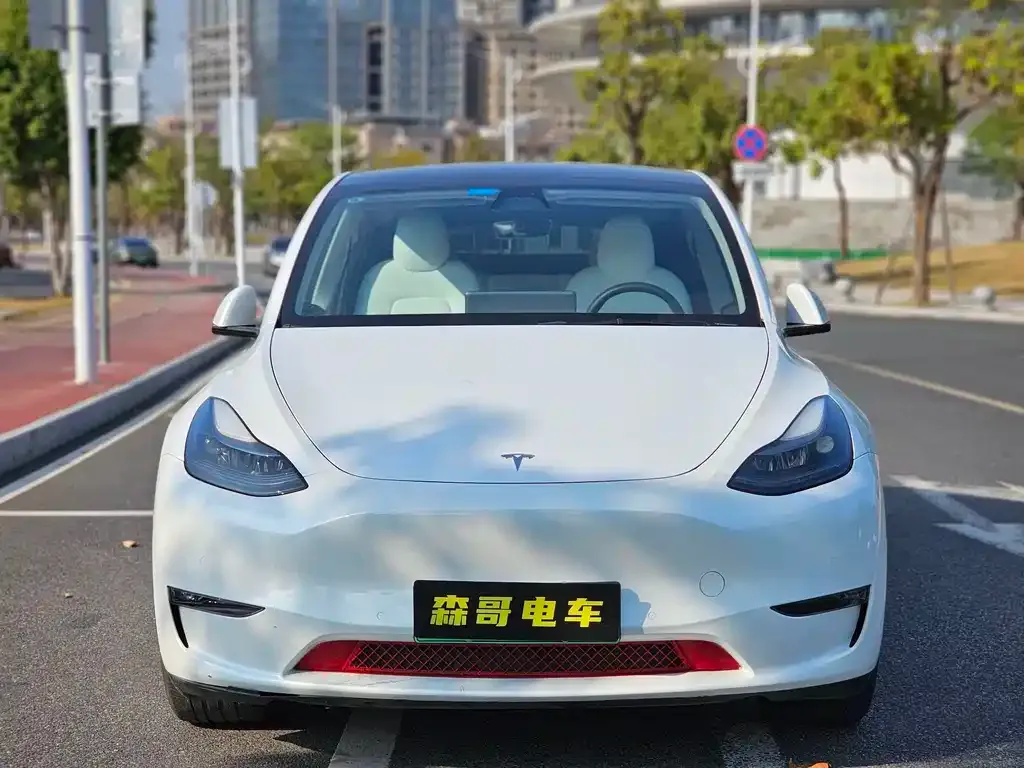 Tesla Model Y 2022 из CN, фото 10