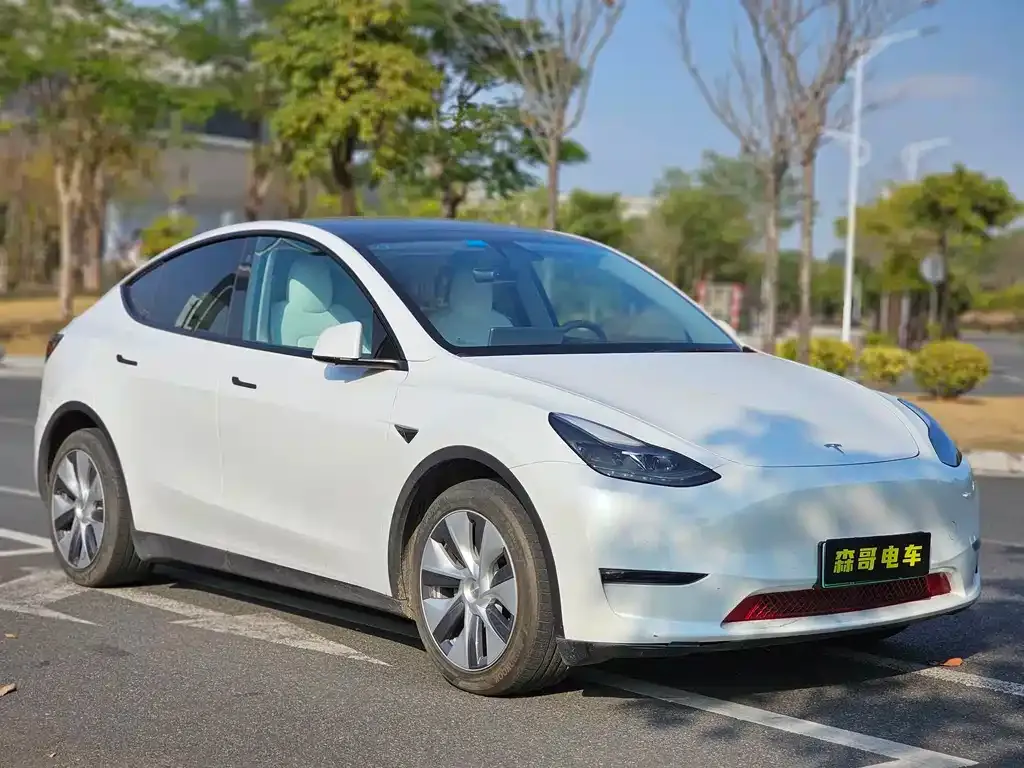Tesla Model Y 2022 из CN, фото 6