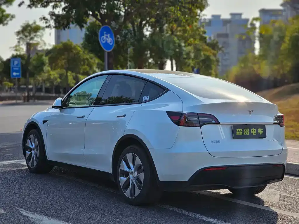 Tesla Model Y 2022 из CN, фото 9