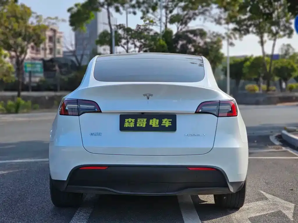 Tesla Model Y 2022 из CN, фото 3